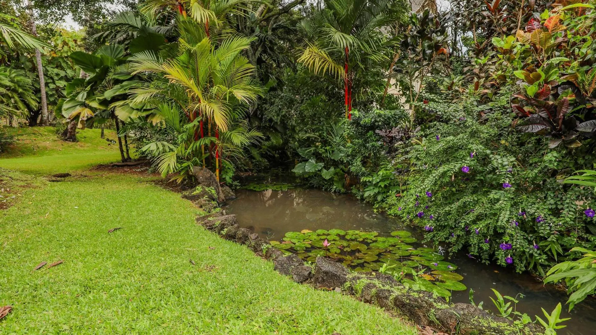 Apartment Kauai Waikomo Stream Villas 502 Condo Koloa United States